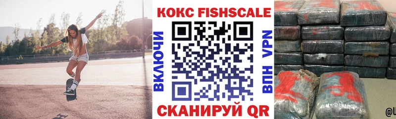 Купить закладки  Светлогорск  COCAIN FishScale 