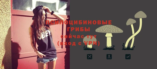 соль курить ск Горнозаводск