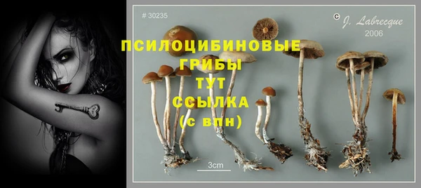 кокс Горняк